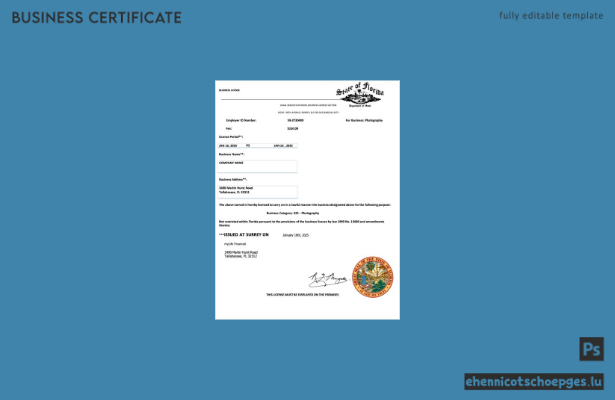 USA Florida Gewerbelizenz Word- und PDF-Beispielvorschau